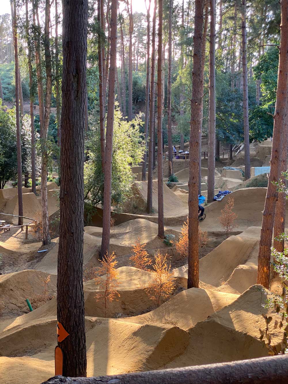 Bike Parks UK Kiing of Spades